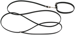 Leash PNG-72175